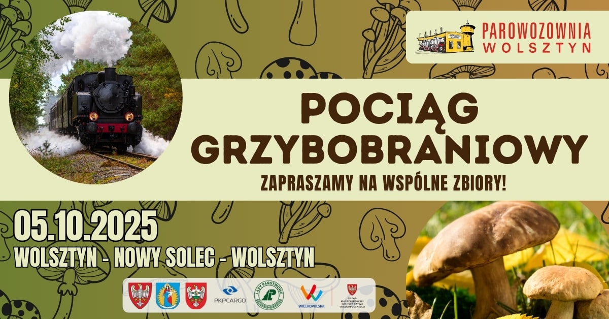 Pociąg grzybobraniowy